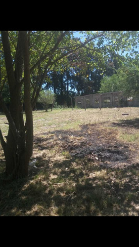 Imagen 5 de 19 de Terreno 107x81 Metros Virreydel Pino