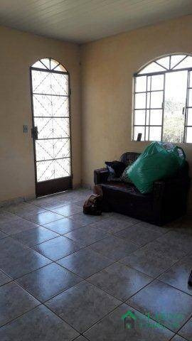 Imagem 7 de 15 de Sitio Em Oliveira - 2852