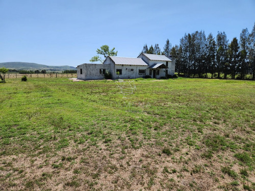 Imagen 4 de 30 de Chacra 5 Hs Con 2 Casas - Consulte !!! - Zona Rural Zona Rural