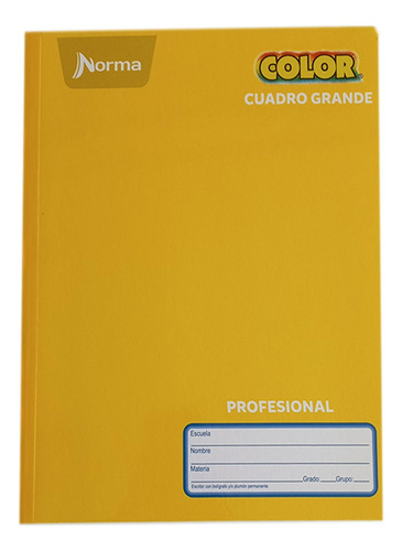 Pack Con 5 Cuadernos Norma Color Profesional Cuadro Grande