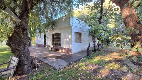 En Venta Chacra De 65 Has, Isla Adelina, Centenario Neuquén.