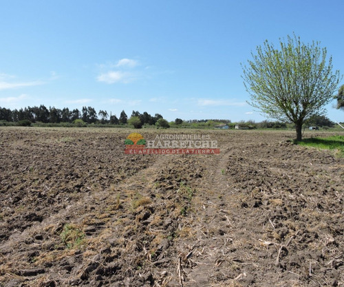 Imagen 26 de 28 de Chacra En Venta Progreso, 4.5 Has Muy Bien Ubicadas!