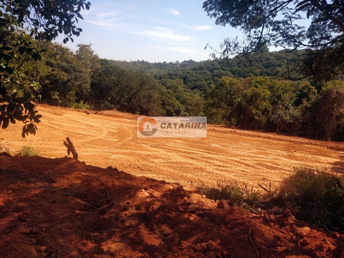 Imagem 7 de 13 de ***oportunidade Terreno Dentro De Associação***