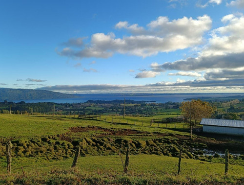 Se Venden Parcelas Entre El Lago Rupanco Y Puyehue