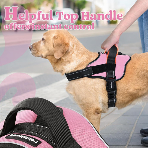 Arnés Para Perros Extra Grandes Rabbitgoo, No Tirar, Ajustab