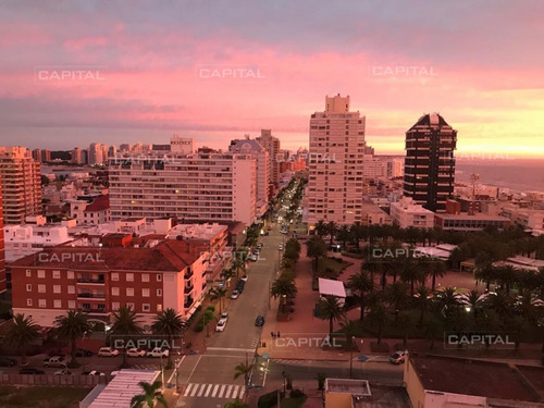 Imagen 29 de 30 de Gran Apartamento En Península Con Vista - 3 Dormitorios + Dependencia - Punta Del Este Peninsula