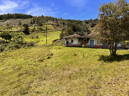 Linda Finca En Venta Para Proyecto San Vicente Excelente Topografía 