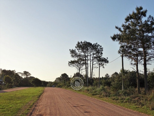 Imagen 6 de 6 de Terrenos En Zona Bosque, Varias Opciones En Punta Del Diablo