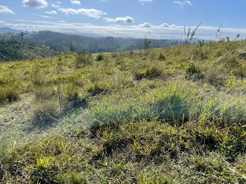 Imagem 13 de 30 de G30- Não Perca Essa Oportunidade! Compre Um Terreno Direto Com O Proprietário