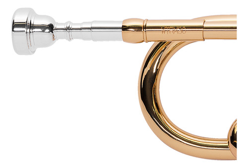 Trompete Michael Wtrm30 Laqueado Com Capa