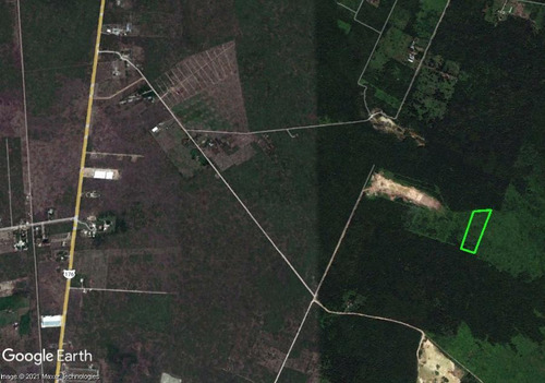 Imagen 4 de 6 de Terreno - Pueblo Conkal 2.6 Hectáreas