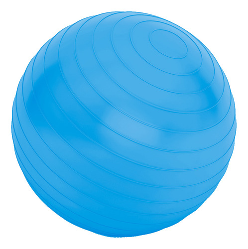 Pelota De Pilates 65cm Gimnasia Pilates Yoga Fitness Calidad