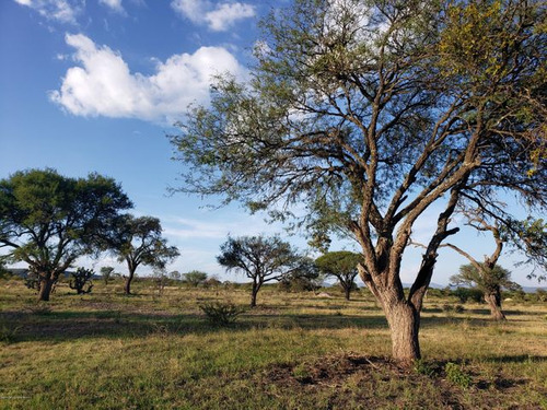 Terreno De 69,512.80m2 Con Escritura Pública El Pueblito Qro