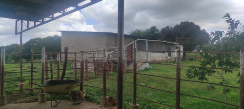 En Venta Finca En Aragua De Barcelona Estado Anzoategui