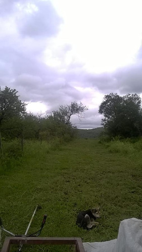 Oportunidad Campo - Villa Del Dique