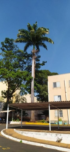 Imagem 30 de 30 de Apartamento À Venda, 79 M² Por R$ 223.000,00 - Independência - Ribeirão Preto/sp - Ap4136