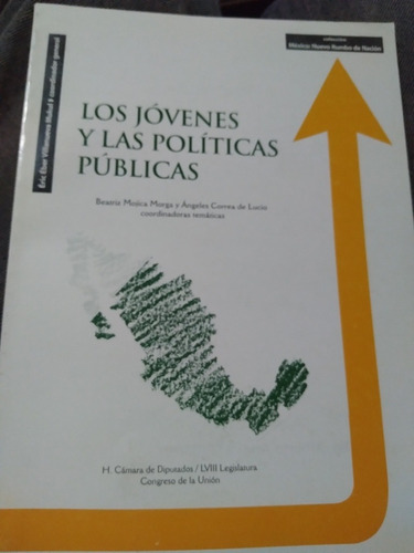 Los Jóvenes Y Las Políticas Públicas 