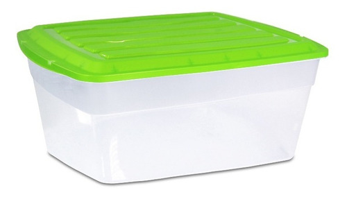 Caja Organizadora Plástica Con Tapa 10 Lt - 30 X 19 X 13 Cm