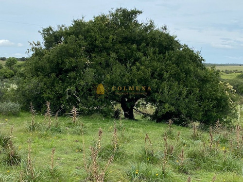 Campo En Garzon - Ideal Para Uso De Descanso - Consulte!!!!- Ref: 3606