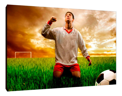 Cuadros Poster Deportes Futbol S 15x20 (fut (9))