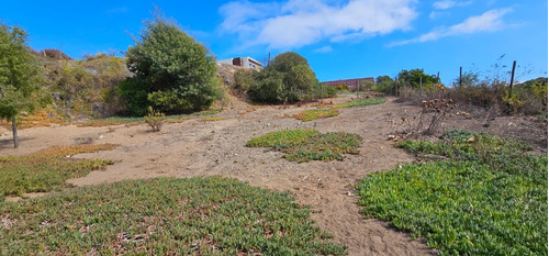 Concón, A 3 Min. Rotonda, Parcelas 1450 M2, Agua, Luz Y Rol