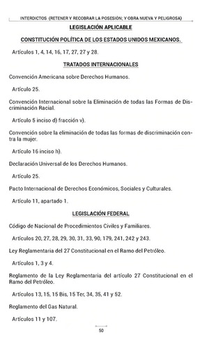 Interdictos Retener y Recobrar la Posesión y Obra Nueva y Peligrosa Legislación Aplicable Criterios Jurisprudenciales Relevantes Aplicables Al Tema Diagramas Procesales y Bibliografía Sugerida 2025