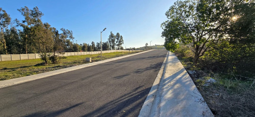 Las Gaviotas Quintero, A 4k De Rotonda Concón, Urbanizado