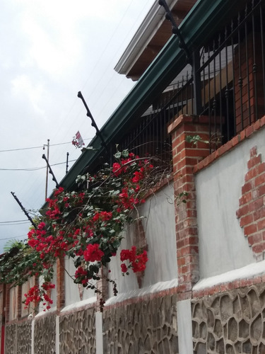 Imagen 4 de 10 de Reparación Cercas Eléctricas, Alarmas, Cámaras, Navaja,