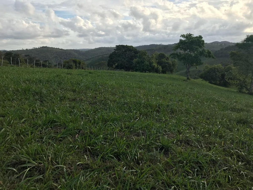 Imagem 14 de 15 de Fazenda Para Venda Em São Benedito Do Sul, Zona Rural - In - 006_1-2014337