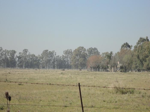 Imagen 16 de 21 de Terreno - La Plata