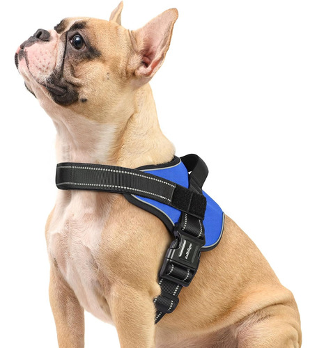 Arnés Para Perro Rabbitgoo, No Pull, Ajustable, Tamaño S