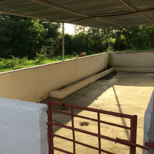 Imagen 17 de 22 de Finca En Tinaquillo Con 132 Hectáreas, Excelente Oportunidad