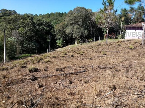 Imagem 14 de 15 de Cod 3550 - Excelente Terreno Com 1.200 M² - 3550
