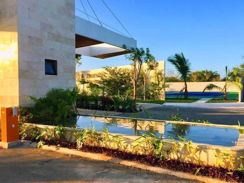 Imagen 6 de 17 de Terreno En Venta En El Norte De Merida