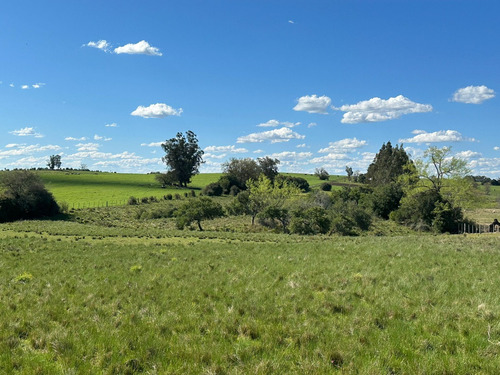 Campo De 26 Hectáreas En Solís Codigo 2741-v