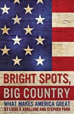 Libro Bright Spots, Big Country : What Makes America Grea...
