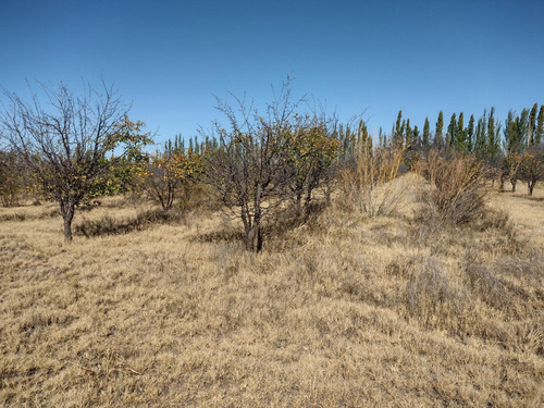 Vendo 5 Hectareas Sobre Ruta Provincial N° 160