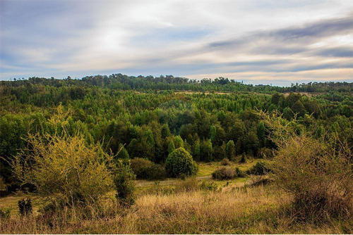 Imagen 1 de 30 de Parcela En Proyecto Lecam - Chiloé