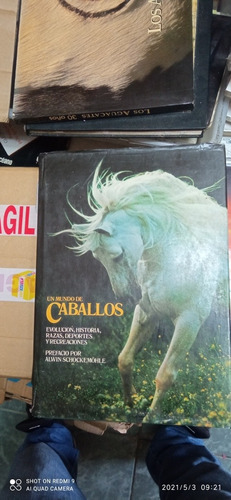 Libro Un Mundo De Caballos. Alwin Schockemohle