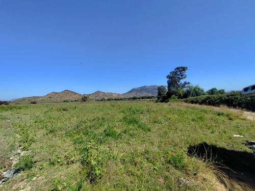 Arriendo Anual - 44 Ha Terreno Agrícola Cultivo Siembra