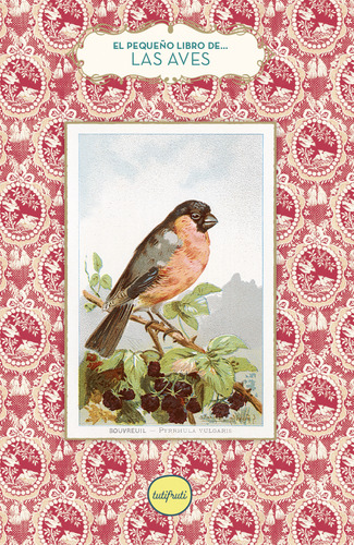 El Pequeño Libro De Las Aves - Jankeliowitch -(t.dura) - *