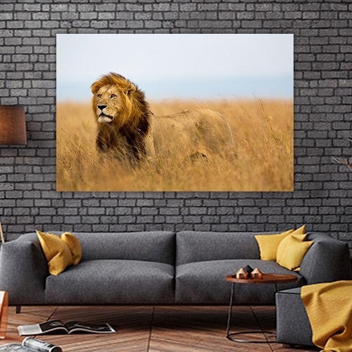 Cuadro Decorativo Animales Canvas Leon Poderoso Felino