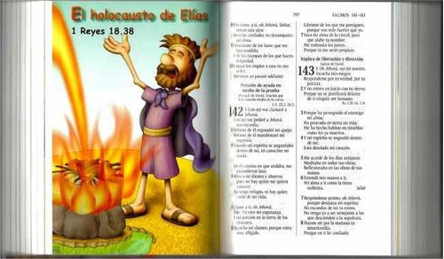 Imagen 5 de 6 de Biblia Para Niños Amigos Por Siempre Verde Lenguaje Actual