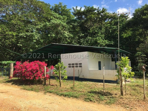 Imagen 21 de 30 de &&& Finca En Venta Aroa Yaracuy Rah 23-4755 // Invierta Seguro Con Rentahouse//