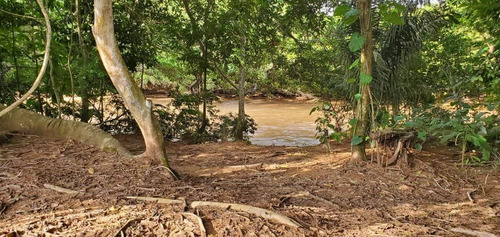 Imagen 11 de 13 de Finca En Santa Barbara De Barinas