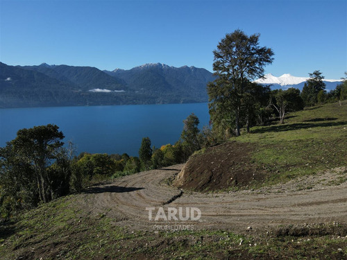 Parcela 5000 M2 Lago Riñihue Ribera Sur. Región Los Ríos
