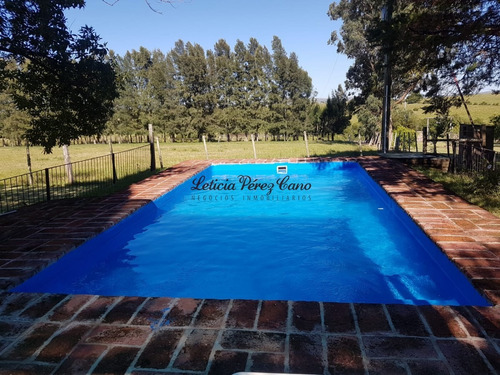 Venta De Chacra 46 Has Y Media Las Cañas Con Muy Buena Produccion De Olivos - Ref: 18579