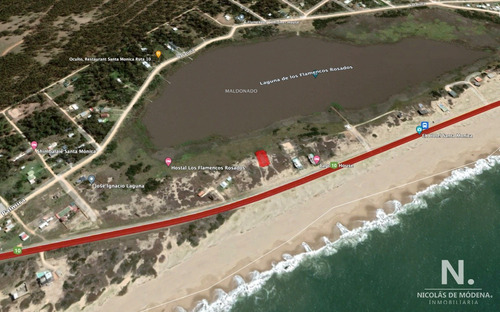 Oportunidad Terreno A La Venta En Jose Ignacio. Santa Monica Frente A Laguna De Los Cisnes