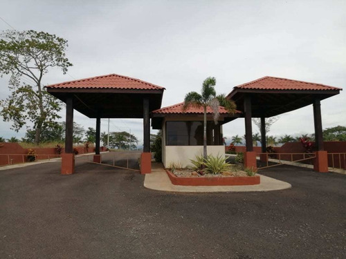 Imagen 5 de 14 de Lotes P/quintas Desde ¢24.5 Millones, 5.000 M2, San Mateo