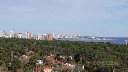 Imagen 2 de 9 de Departamento En Alquiler Anual Y Venta De 3 Dormitorios - Roosevelt